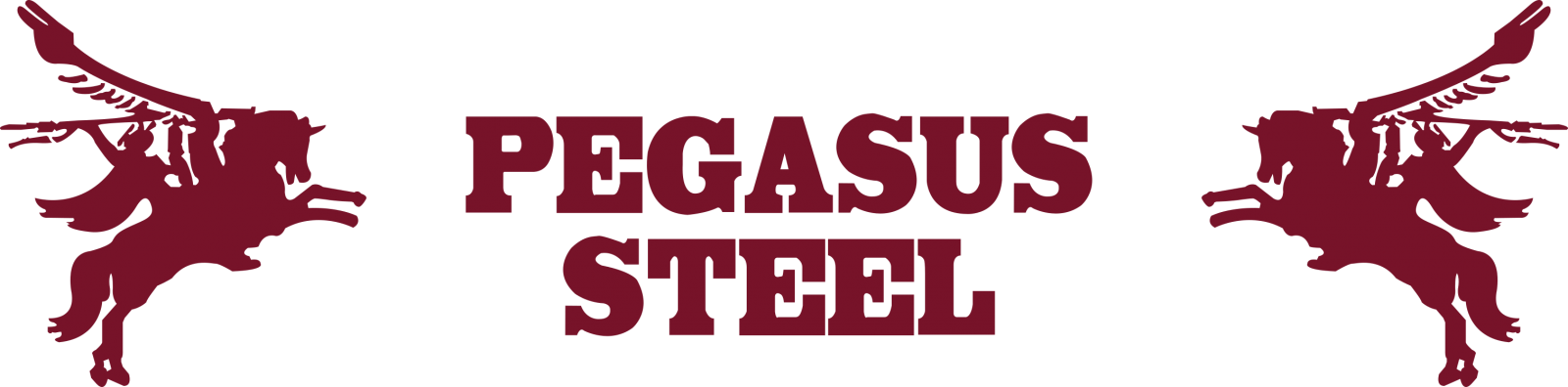 Pegasus Steel LLC